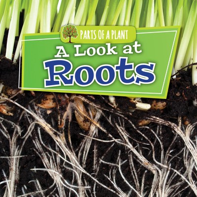 A Look at Roots - 9781534533752 by Lindsey Lowe, 9781534533752