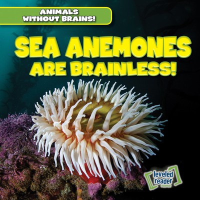 Sea Anemones Are Brainless! - 9781538245866 by Amanda Vink, 9781538245866