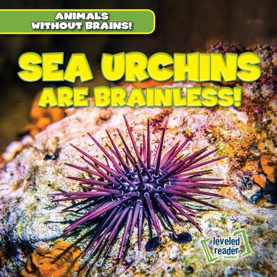 Sea Urchins Are Brainless! - 9781538245989 by Amanda Vink, 9781538245989