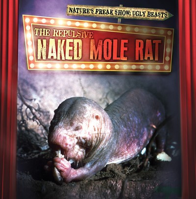 The Repulsive Naked Mole Rat - 9781538246184 by Janey Levy, 9781538246184