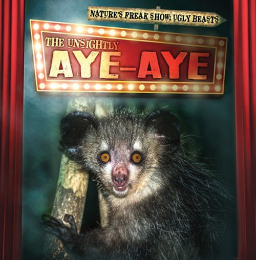 The Unsightly Aye-Aye - 9781538246221 by Janey Levy, 9781538246221