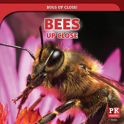 Bees Up Close - 9781725307780 by Amanda Vink, 9781725307780
