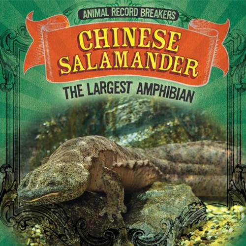 Chinese Salamander: The Largest Amphibian - 9781725308664 by Rachael Morlock, 9781725308664