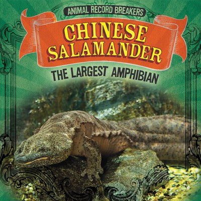 Chinese Salamander: The Largest Amphibian - 9781725308664 by Rachael Morlock, 9781725308664