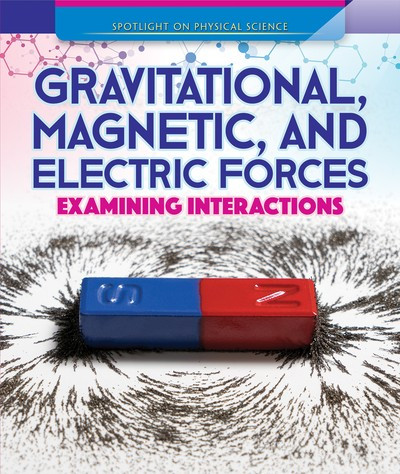 Gravitational, Magnetic, and Electric Forces: Examining Interactions by Daniel R. Faust, 9781725313095
