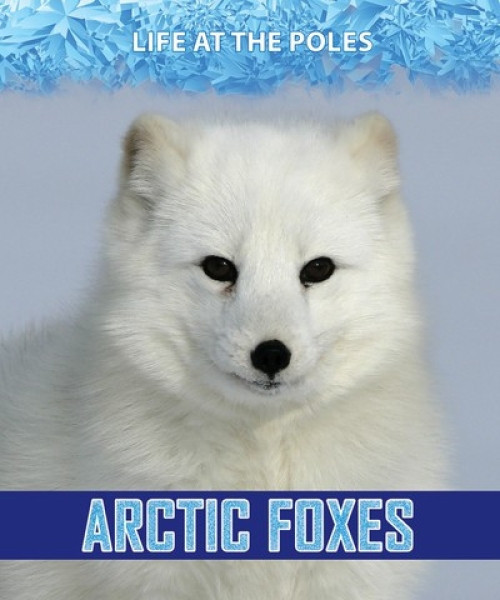 Arctic Foxes - 9781978512016 by Kathy Furgang