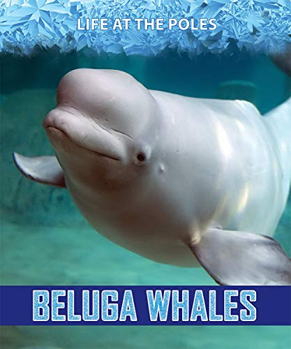 Beluga Whales - 9781978512054 by Kathy Furgang, 9781978512054