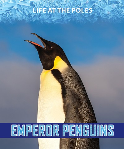 Emperor Penguins - 9781978512092 by Rita Santos, 9781978512092