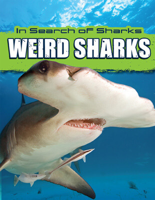 Weird Sharks by David Thompson, 9781725332751