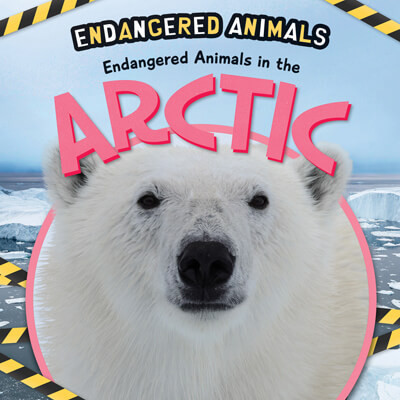 Endangered Animals in the Arctic by Emilie Dufresne, 9781725336148