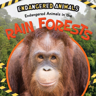 Endangered Animals in the Rain Forests - 9781725336247 by Emilie Dufresne, 9781725336247