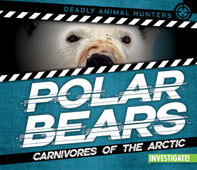 Polar Bears: Carnivores of the Arctic by Charlotte Taylor, 9781978522145