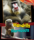Mandrills and Marmosets - 9781477761182 by Henry Thatcher, 9781477761182