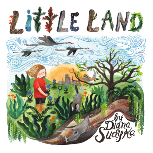 Little Land by Diana Sudyka, 9780316301763