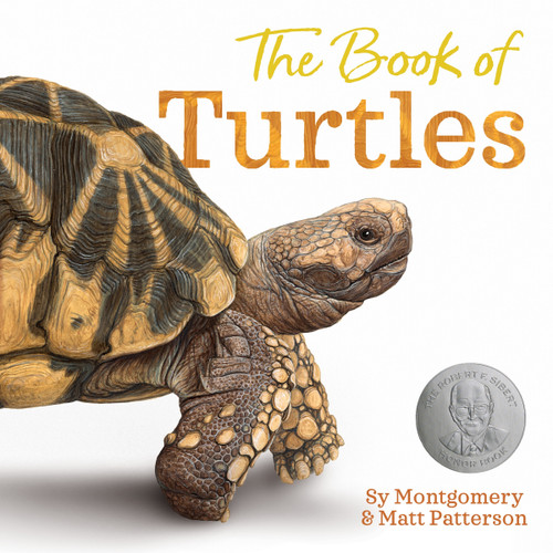 The Book of Turtles by Sy Montgomery, Matt Patterson, 9780358458074