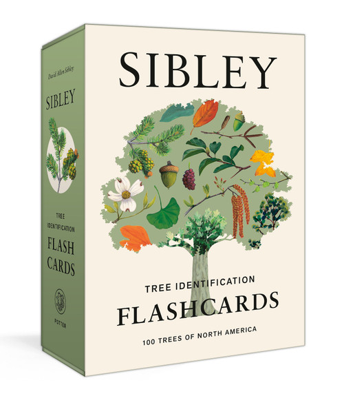 Sibley Tree Identification Flashcards (100 Trees of North America) by David Allen Sibley, 9780593578551