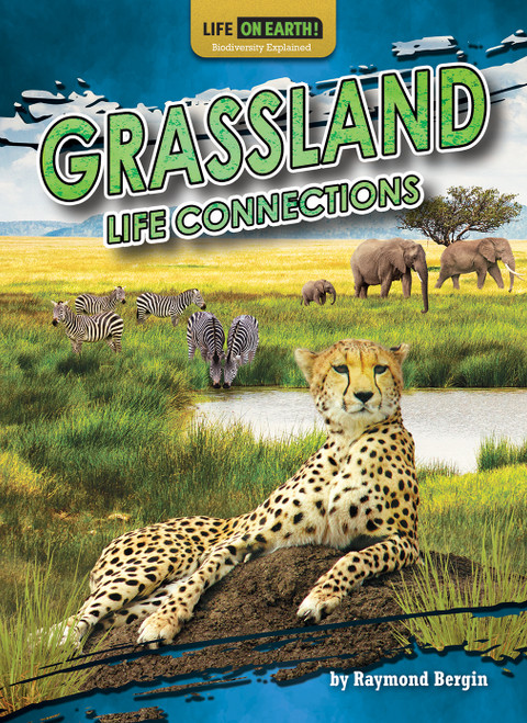 Grassland Life Connections by Raymond Bergin, 9798885094115