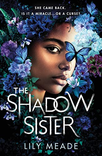 The Shadow Sister by Lily Meade, 9781728264479