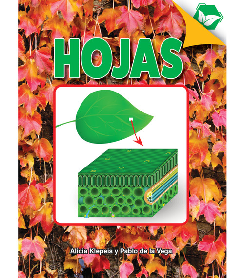 Hojas (Leaves) (Spanish Edition) by Alicia Klepeis, 9781731654465