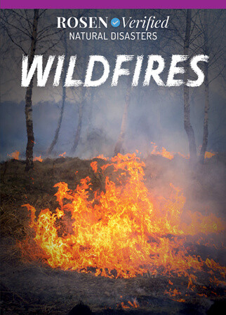 Wildfires - 9781499473599 by Theresa Emminizer, 9781499473599