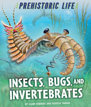 Insects, Bugs, and Invertebrates - 9781538284599 by Clare Hibbert, 9781538284599