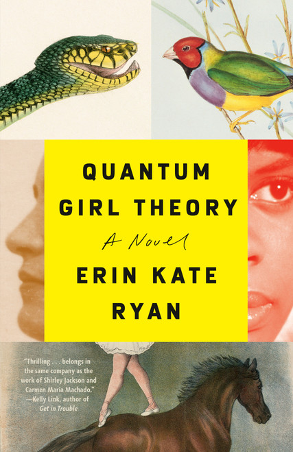 Quantum Girl Theory (A Novel) - 9780593133453 by Erin Kate Ryan, 9780593133453