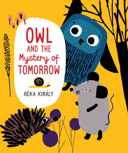 Owl and the Mystery of Tomorrow by Réka Király, Mia Spangenberg, 9781459837461