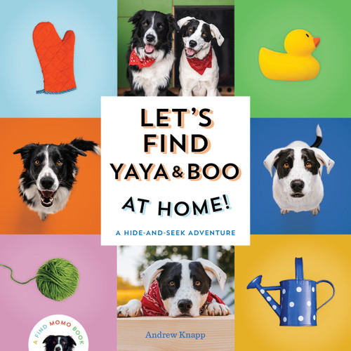 Let's Find Yaya and Boo at Home! (A Hide-and-Seek Adventure) by Andrew Knapp, 9781683693666