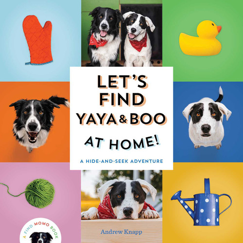 Let's Find Yaya and Boo at Home! (A Hide-and-Seek Adventure) by Andrew Knapp, 9781683693666