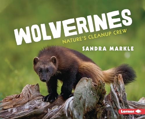 Wolverines (Nature's Cleanup Crew) - 9781728499949 by Sandra Markle, 9781728499949