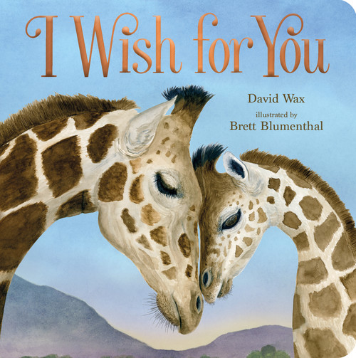 I Wish for You - 9781250293114 by David Wax, Brett Blumenthal, 9781250293114