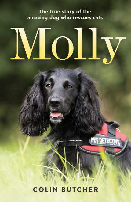 Molly: The True Story of the Amazing Dog Who Rescues Cats by Colin Butcher, 9781250266248
