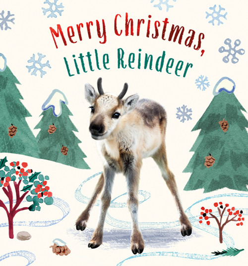 Merry Christmas, Little Reindeer (A Board Book) by Amanda Wood, Bec Winnel, Vikki Chu, 9781419769498