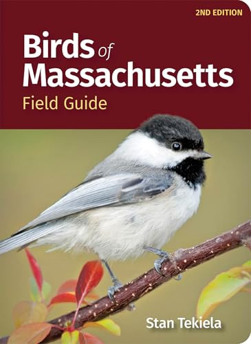 Birds of Massachusetts Field Guide (Miniature Edition) - 9781647554033 by Stan Tekiela, 9781647554033