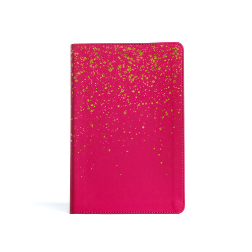 KJV Kids Bible, Pink LeatherTouch by Holman Bible Publishers, 9781430082750