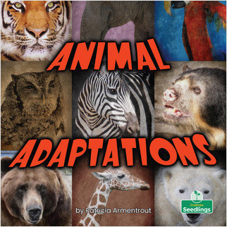 Animal Adaptations - 9781039659889 by Patricia Armentrout, 9781039659889