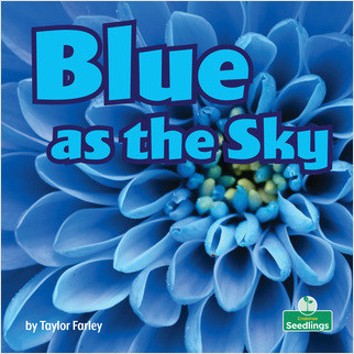 Blue as the Sky by Taylor Farley, 9781039660274