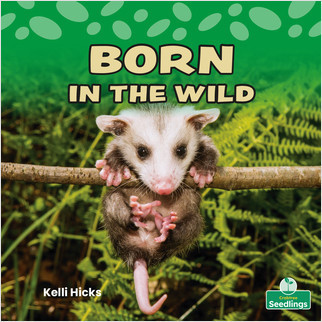 Born in the Wild - 9781039660243 by Kelli Hicks, 9781039660243