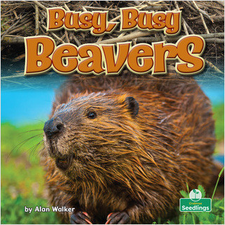 Busy, Busy Beavers - 9781039659902 by Alan Walker, 9781039659902