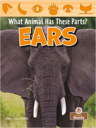 Ears - 9781039646285 by Amy Culliford, 9781039646285