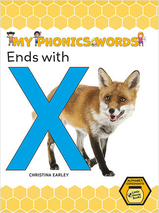 Ends with X by Christina Earley, 9781039645356