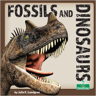 Fossils and Dinosaurs by Julie K. Lundgren, 9781039644809
