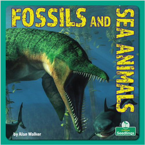 Fossils and Sea Animals - 9781039646728 by Alan Walker, 9781039646728