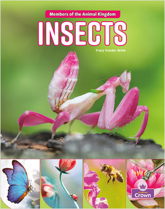 Insects - 9781039800236 by Tracy Vonder Brink, 9781039800236