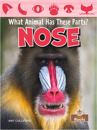 Nose - 9781039644427 by Amy Culliford, 9781039644427