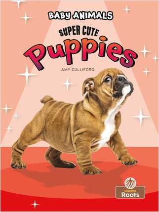 Super Cute Puppies - 9781039697379 by Amy Culliford, 9781039697379