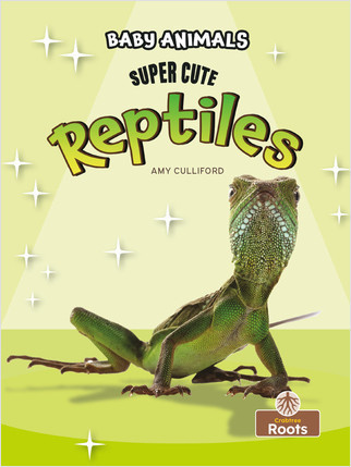 Super Cute Reptiles - 9781039697423 by Amy Culliford, 9781039697423