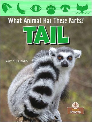 Tail - 9781039646308 by Amy Culliford, 9781039646308