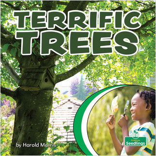 Terrific Trees by Harold Morris, 9781039646544