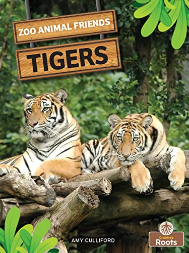 Tigers - 9781039659674 by Amy Culliford